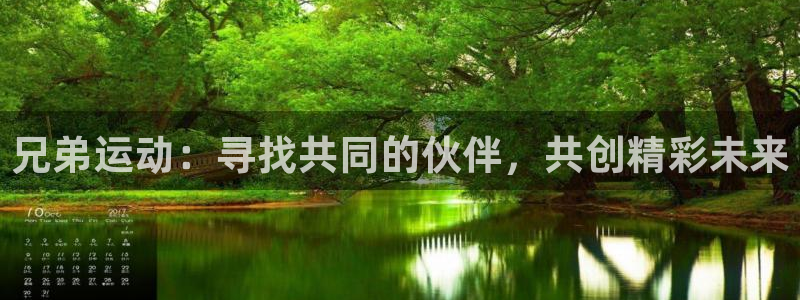 九游体育官网下载平台假的吗是真的吗:兄弟运动:寻找共同的伙伴