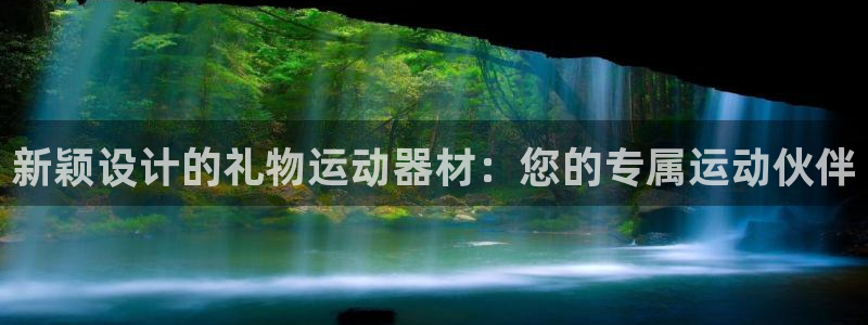 九游体育官方正版app集团简介:新颖设计的礼物运动器材:您的