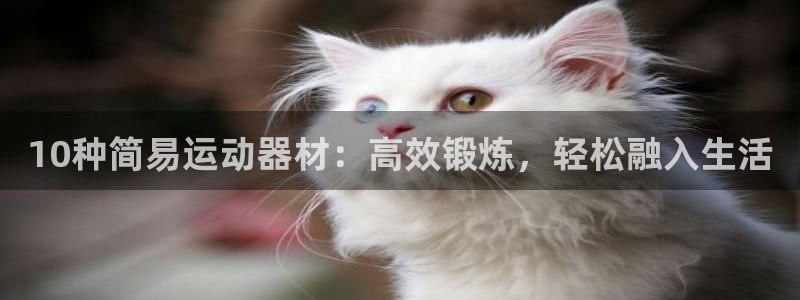 九游体育官网下载平台是正规平台吗:10种简易运动器材:高效锻